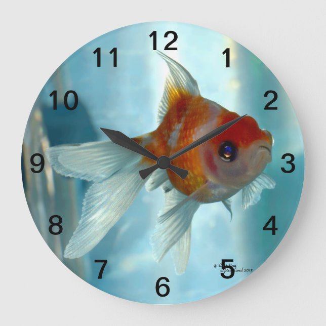 Horloge murale de poisson rouge orange (Recto)