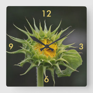 Horloge murale de Tournesol