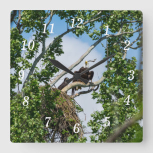 Horloge murale des aigles chauds