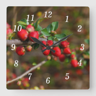 Horloge murale des boutons de ressort rouge
