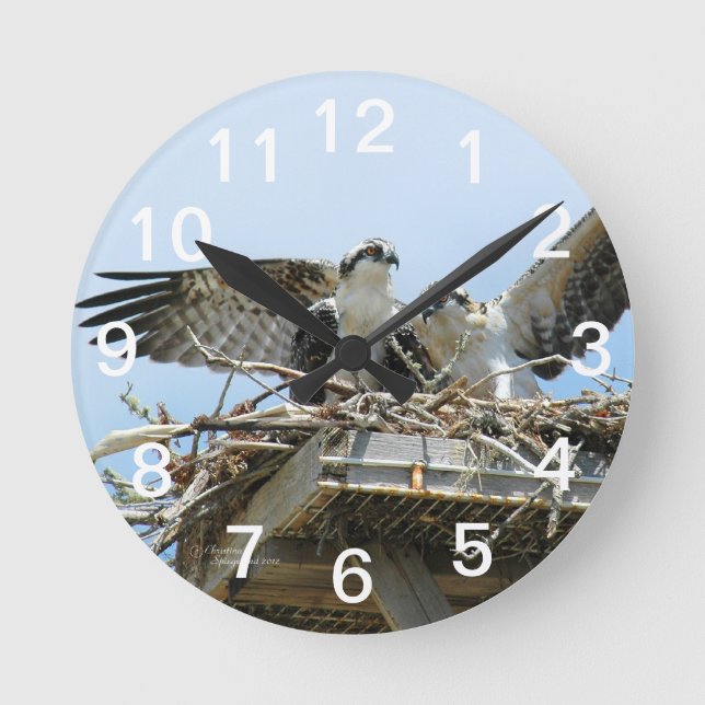 Horloge murale des Hawks Ospreys (Recto)