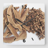 Horloge murale du champignon Reishi