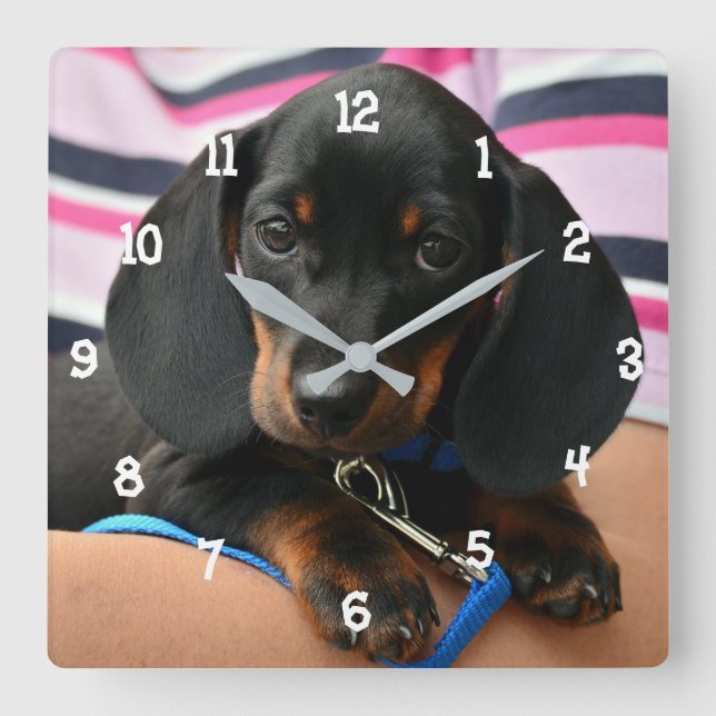 Horloge murale du chiot de Dachshund (Recto)