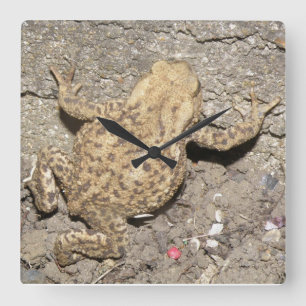 Horloge murale en crapaud