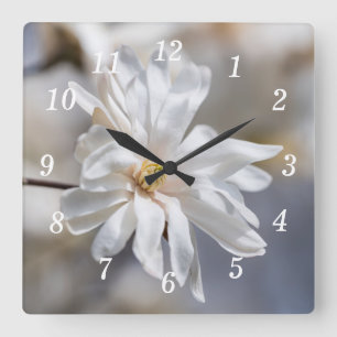 Horloge murale en fleurs de Star Magnolia