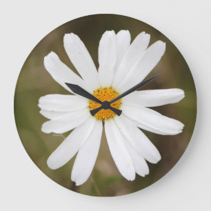Horloge murale Fleur de marguerite avec goutte de