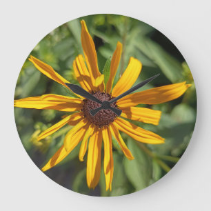 Horloge murale florale Black-Eyed Susan Sauvage