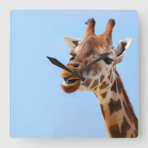 horloge murale Giraffe Portrait