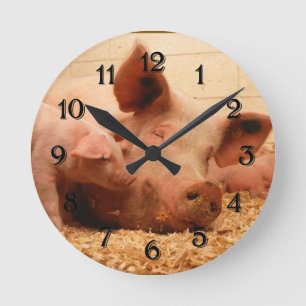 Horloge murale ronde de porc et de porcelet