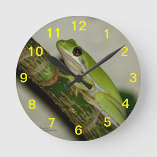 Horloge murale verte de grenouille d'arbre