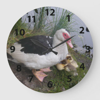 Horloge Muscovy Canard Et Canards