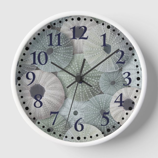 Horloge Nautique des oursins de mer de plage (Recto)