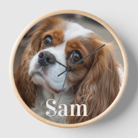 Nom de conservation de l'amoureux des chiens photo
