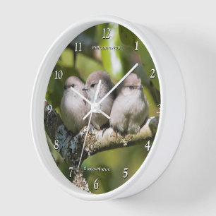 Horloge Oiseaux Chanteurs Bébés Mésanges à Tête Noire dans