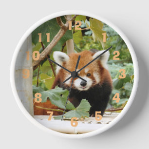 Horloge Panda rouge