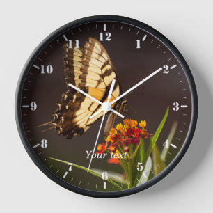 Horloge Papillon à queue noire sur la fleur d'algue
