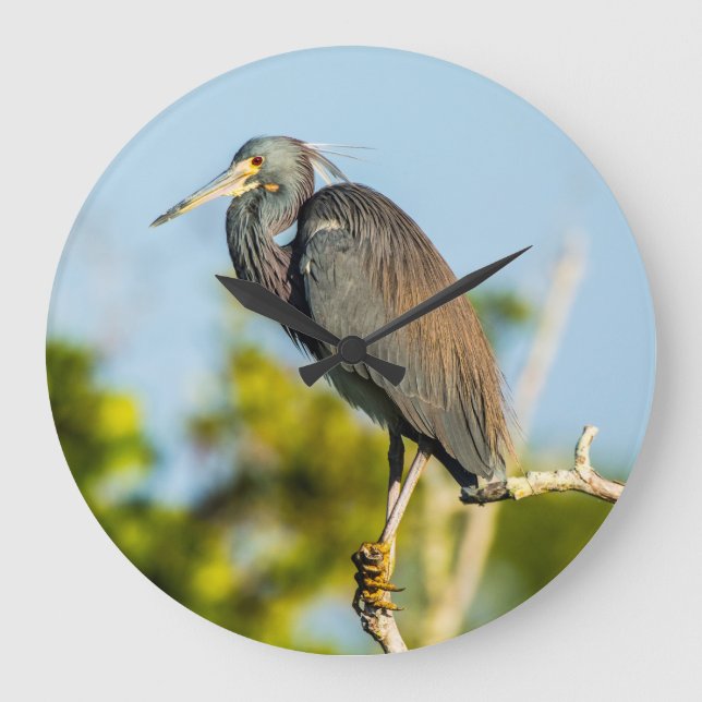 Horloge Parfaite De Mur Acrylique, Arrondie (Grand (Recto)