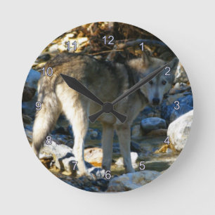 Horloge photo Gray Wolf & Stony Creek