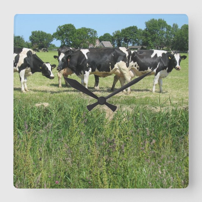 Horloge photo vaches (Recto)