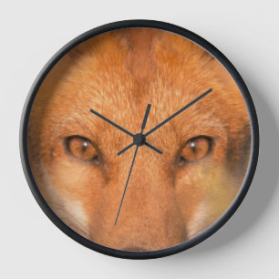 Horloge Photographie de faune sauvage aux yeux du renard r