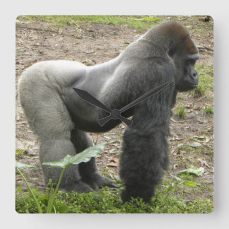 Horloge puissante de gorille