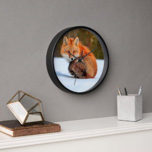 Horloge Renard roux dans la neige Yukon