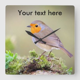 horloge Robin personnalisable ajouter votre propre