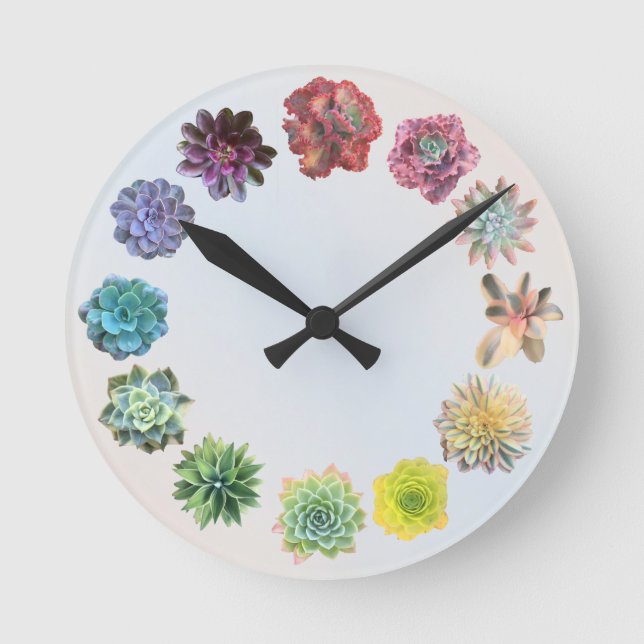 Horloge Ronde 12 Rainbow Succulent Mix (Recto)