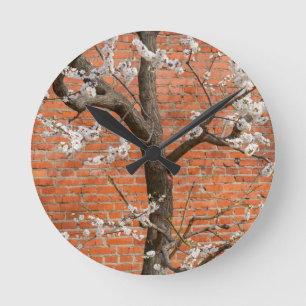 Horloge Ronde Abricotier en Fleur Mur de Briques Rouges Printemp