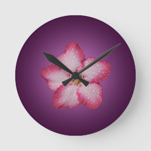 Horloge Ronde Adénium Fleur Rose Flore Dégradé Violet