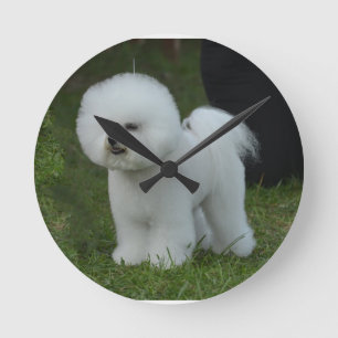Horloge Ronde Adorable Bichon