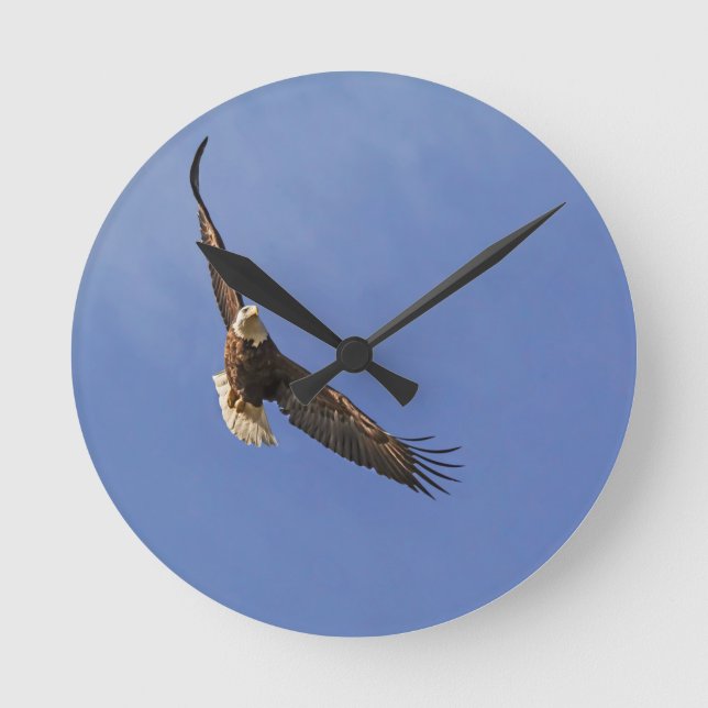 Horloge Ronde Aigle chauve (Recto)