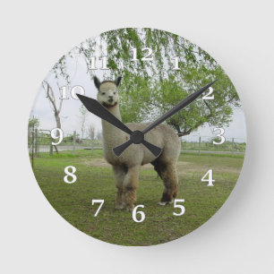Horloge Ronde Alpaca Wall Clock