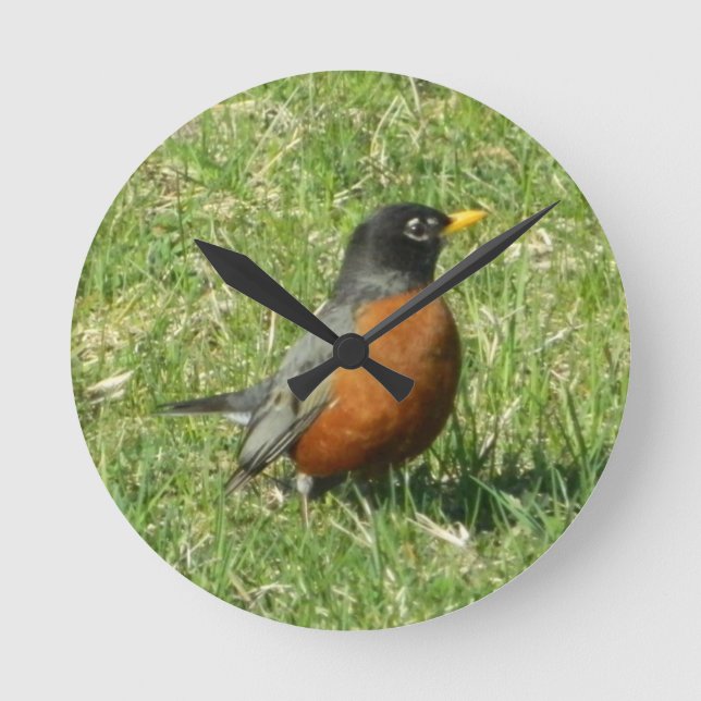 Horloge Ronde American Robin clock (Recto)