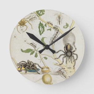 Horloge Ronde Araignées : Mygole, plaquent 18 de 'au-dessus de