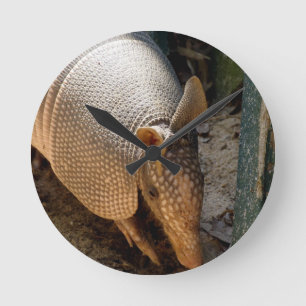 Horloge Ronde Armadillo Clock