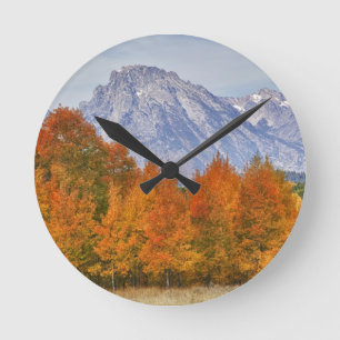 Horloge Ronde Aspen trees with the Teton mountain