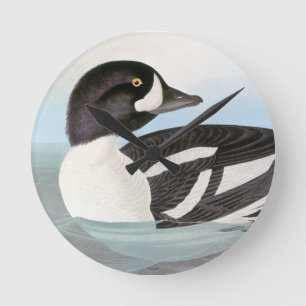 Horloge Ronde Audubon : Barrow's Goldeneye