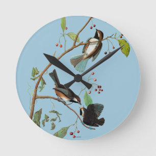 Horloge Ronde Audubon : Chickadee