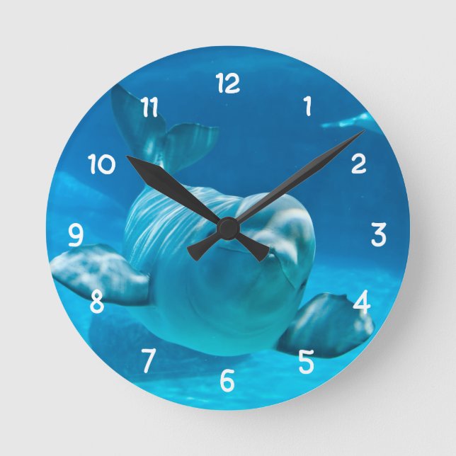 Horloge Ronde Baleine de beluga (Recto)