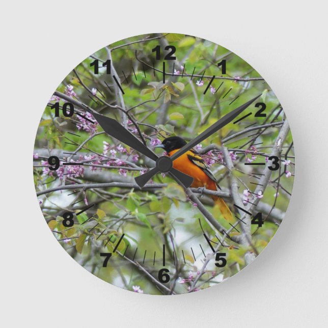 Horloge Ronde Baltimore Oriole (Recto)