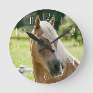 Horloge Ronde Beau portrait de cheval haflinger