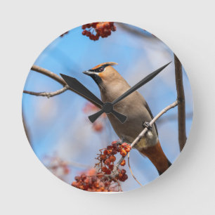 Horloge Ronde Beauté du ciel canadien : Photographie de cire de 