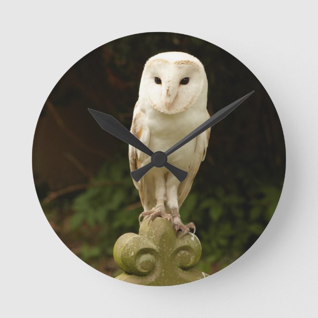 Horloge Ronde Beautiful Owl Wall Clock (Recto)