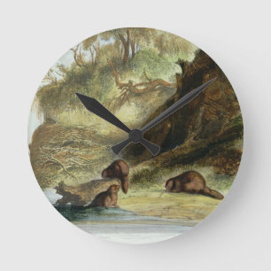 Horloge Ronde Beaver Hut on the Missouri, plate 17 from volume 1