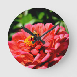 Horloge Ronde Bee and coral zinnia