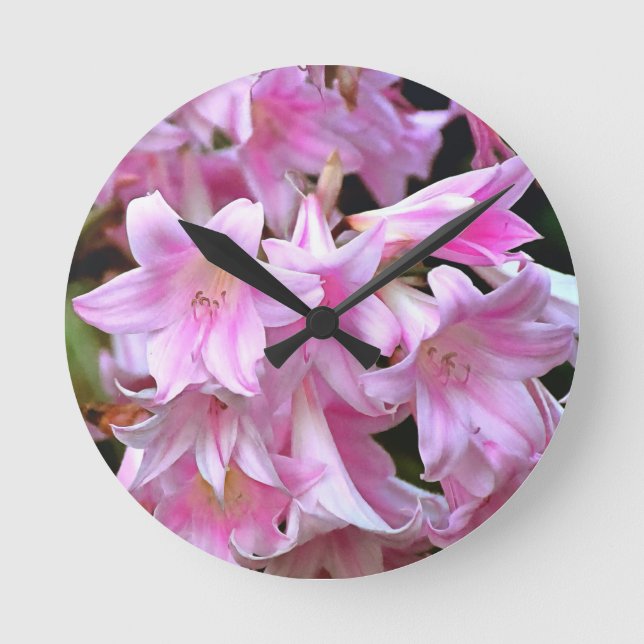 Horloge Ronde Belle Belladonna Amaryllis Rose (Recto)