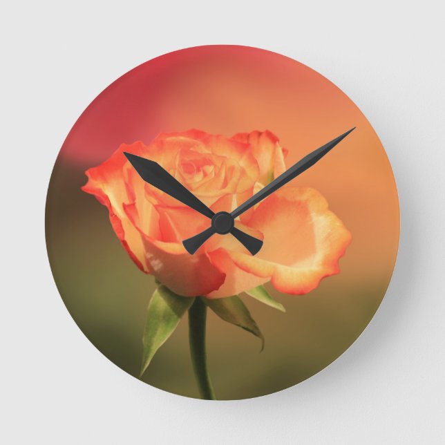 Horloge Ronde Belle photo de Rose romantique (Recto)