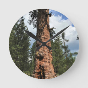 Horloge Ronde Big Red Tree, La Pine OU