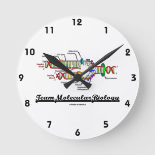 Horloge Ronde Biologie moléculaire d'équipe (reproduction d'AD
